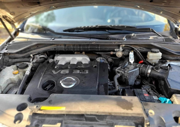 Nissan Murano cena 16000 przebieg: 252000, rok produkcji 2005 z Sochaczew małe 37